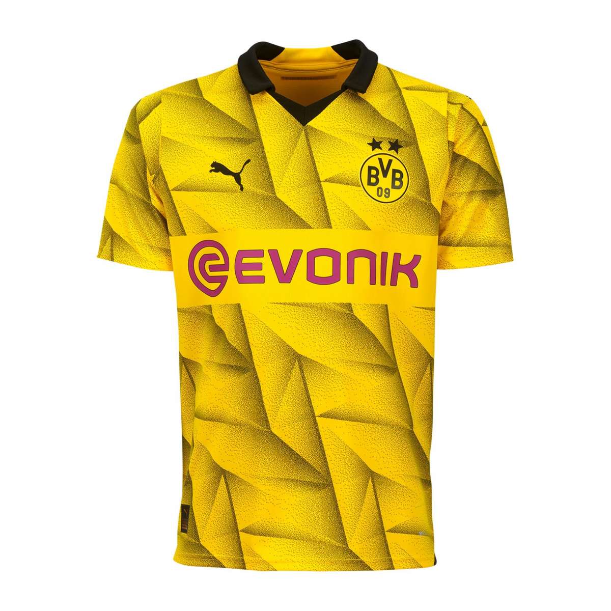 Borussia Dortmund 23/24 Cup Jersey Champion Gearz