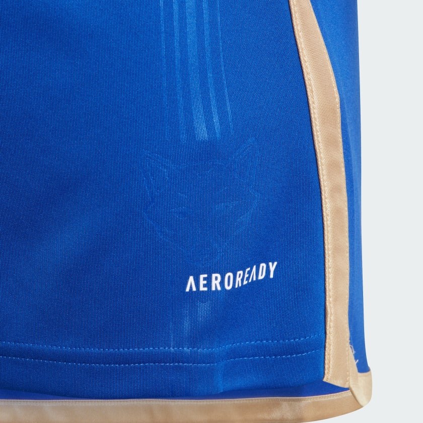 Leicester cityFC 23/24 Home jersey Champion Gearz