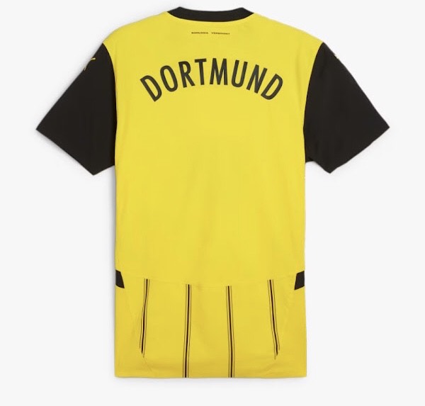 Borussia Dortmund 24/25 Home Jersey Champion Gearz